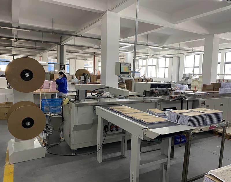 Automatic punching and coil binding machine